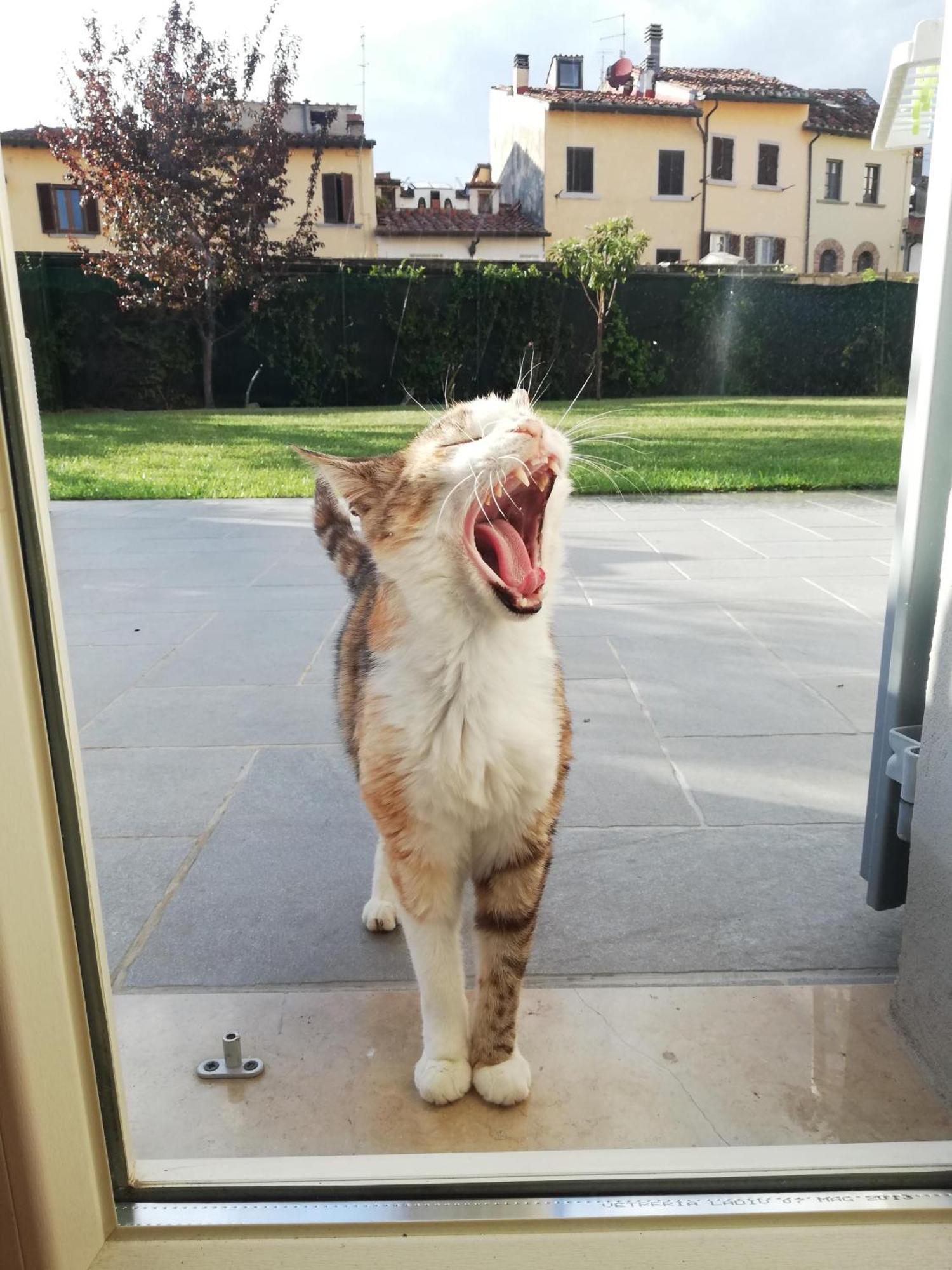 Casa Di Pietro Aretino, Arezzo Centro Storico 4-8 Letti Daire Dış mekan fotoğraf